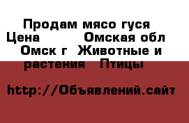 Продам мясо гуся › Цена ­ 250 - Омская обл., Омск г. Животные и растения » Птицы   